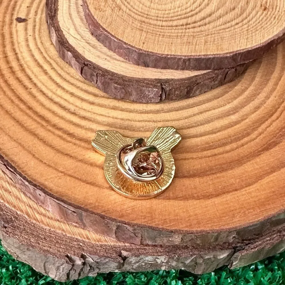 Donald Duck Butt Tush Enamel Pin/ Brooch